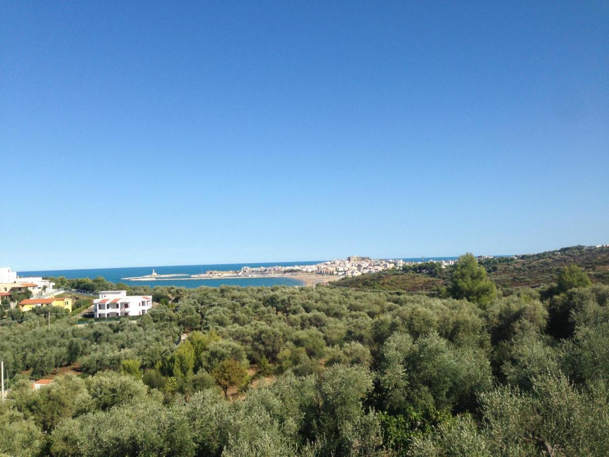 Vill'Aura Apartment Vieste Luaran gambar