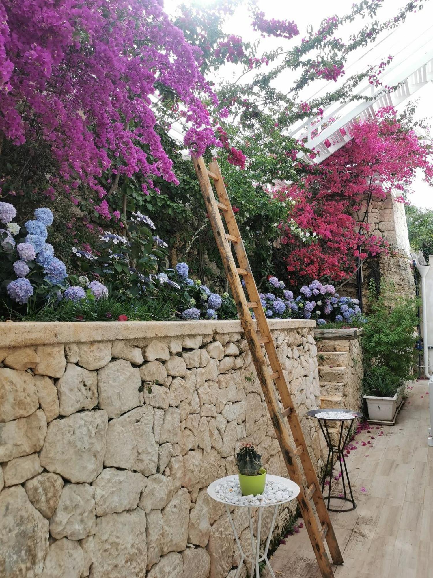 Vill'Aura Apartment Vieste Luaran gambar